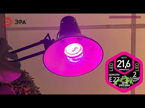 Миниатюра изображения товара Лампа для растений ЭРА FITO-12W-RB-E27 / Б0050601