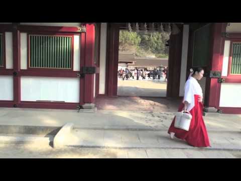 Insomnia Remi Panossian trio