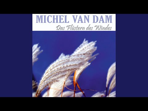 Einfach Mal Nichts Tun - Michel van Dam