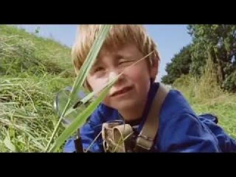 Mes vie de chien flim complet en vf 2017