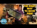 Moving An Aquarium From House To House