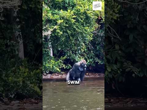 They’re so powerful yet avoid rain.