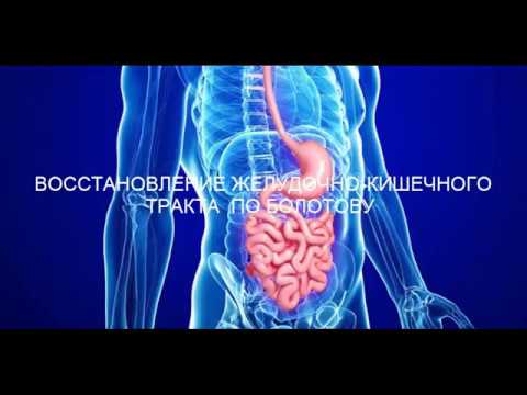 ВОССТАНОВЛЕНИЕ ЖЕЛУДОЧНО КИШЕЧНОГО ТРАКТА ПО БОЛОТОВУ