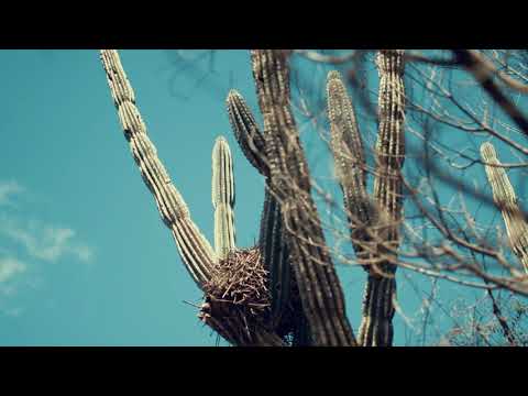 Dji Mavic Air                        Cerro Miniñaque, Minas de Corrales - Rivera - Uruguay