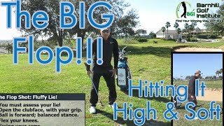 The BIG Flop! - The Flop Shop from a Fluffy Lie!