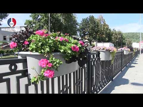 Высадка цветов на городских цветниках