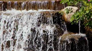 Agua corrente em cachoeira- maravilha da natureza.
