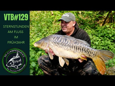 Karpfenangeln VTB 129 - Sternstunden am Fluss im Frühjahr