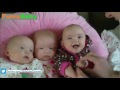 Funny Triplet Babies Laughing Compilation Best Funny Babies Videos Nov 2016
