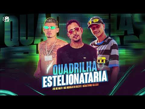 MC MURILO DO RECIFE, MC ZOI DE GATO, RENATINHO FALCÃO - QUADRILHA ESTELIONATARIA - REMIX BREGA FUNK