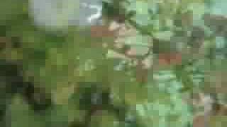 CvB_4_PC_14 [Life Is Grand]