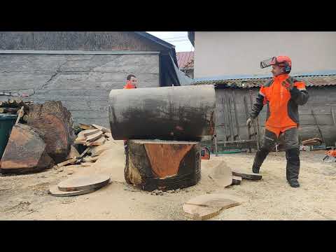 Stihl MS 661 C vs. Husqvarna 395 XP .