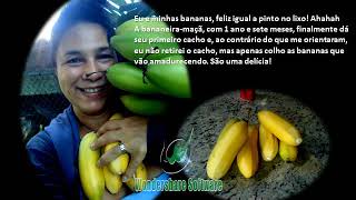 Cura verde no Jardim do Enigma