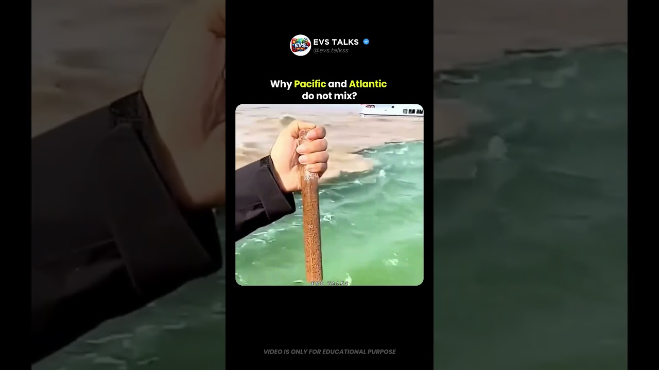 Why the Pacific and Atlantic Oceans Don’t Mix 😳🌊