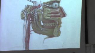 18[neck]DR Hossam Yehia Nose &air sinuses 10-12-2015