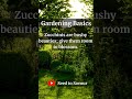 Zucchini Zest