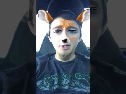 STORY TIME WITH BAMBI !