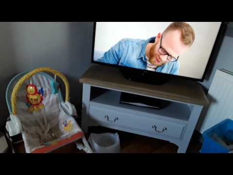 Ralfie the pug doesnt like whats on the telly.