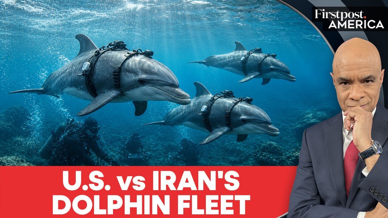Iran to Deploy Dolphins Armed with Mines Against US Warships? | Firstpost America | N18G
