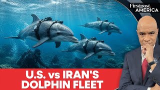 Iran to Deploy Dolphins Armed with Mines Against US Warships? | Firstpost America | N18G