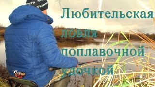 Любительская рыбалку на поплавочную удочку про