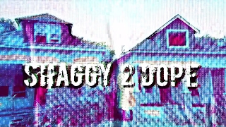 Review of Shaggy 2 Dope's "Tell These Bitches"