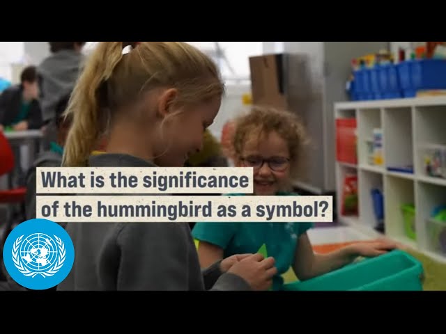 Hummingbirds make splash at Water Conference