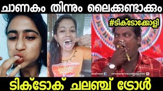 ടിക്‌ടോക് വൻ ദുരന്ത ചലഞ്ചുകൾ | Tik Tok Challenges Troll video | Malayalam troll videos