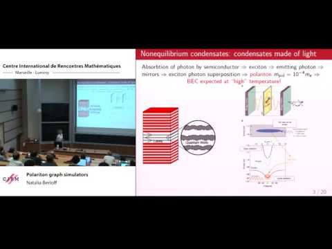 Natalia Berloff: Polariton graph simulators