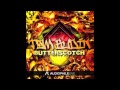 Tom Budin - Butterscotch (Paraxe Remix) 