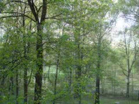 Four Seasons in Norway