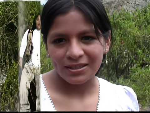 Gualberto Vela || Cholita inocente