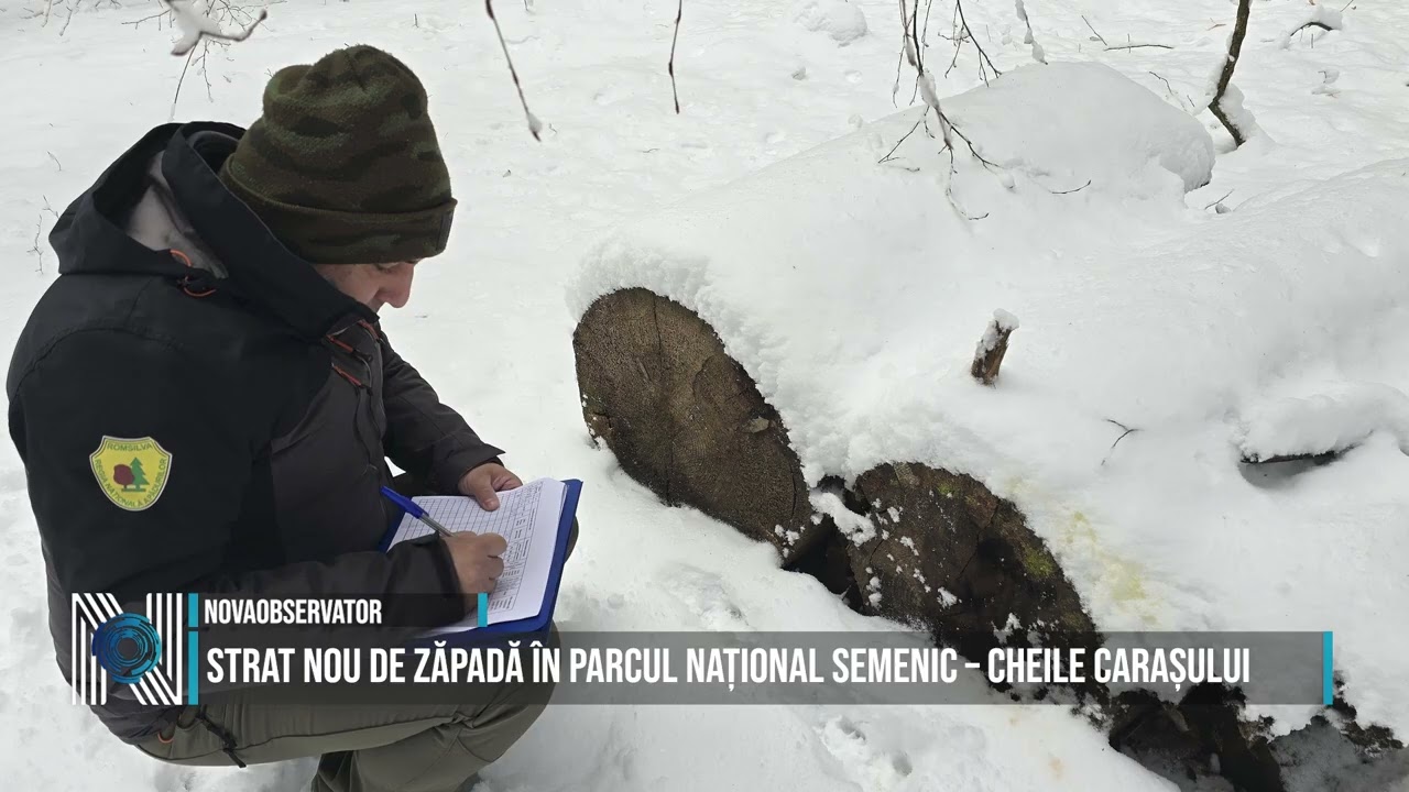 Strat nou de zăpadă în Parcul Național Semenic – Cheile Carașului