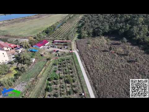 FERMA / DISTILERIE DE VANZARE JUD. ARAD, LOC. MOCREA, DJ792.