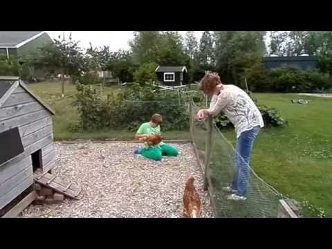 Weekendje Zeeland,  Boerenrustcamping  de Stokroos Nieuwerkerk