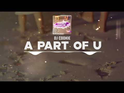 DNZF1055 // DJ COOKIE - A PART OF U (Official Video DNZ RECORDS)