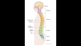 I'm Having Back Surgery Tomorrow