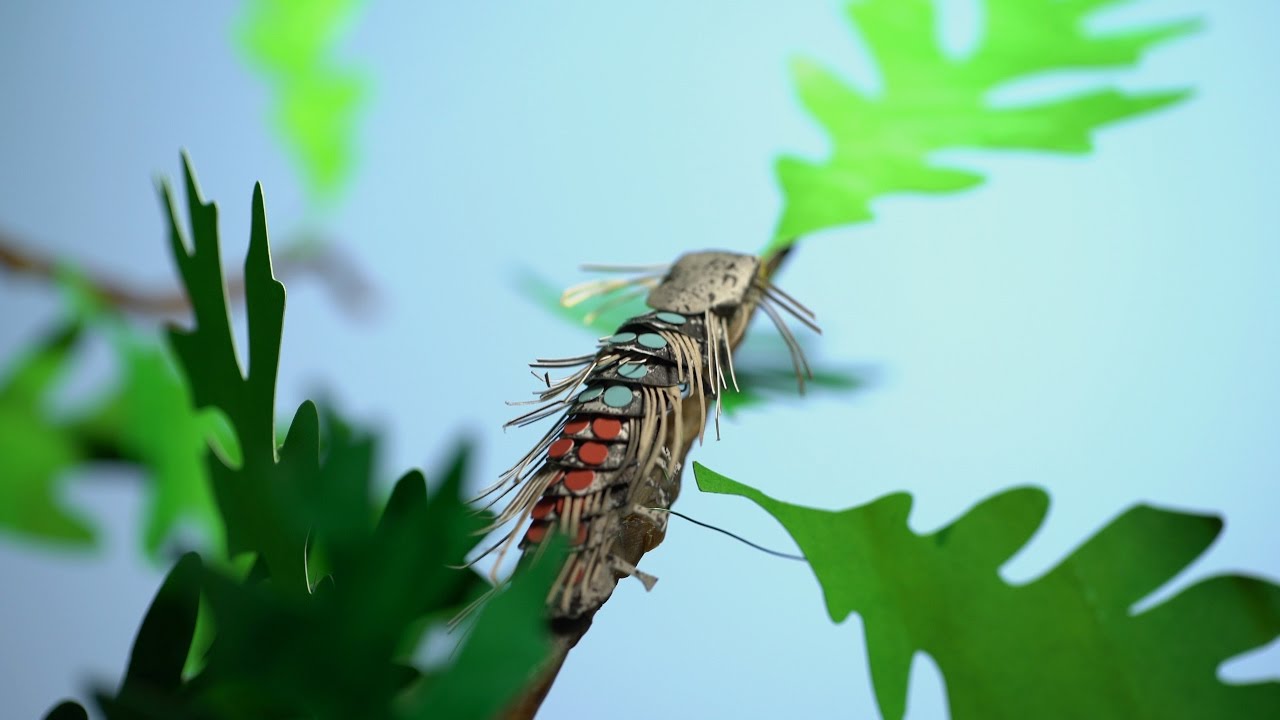 YouTube video thumbnail