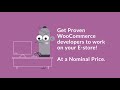 Hire WooCommerce Experts WooCommerce Developer