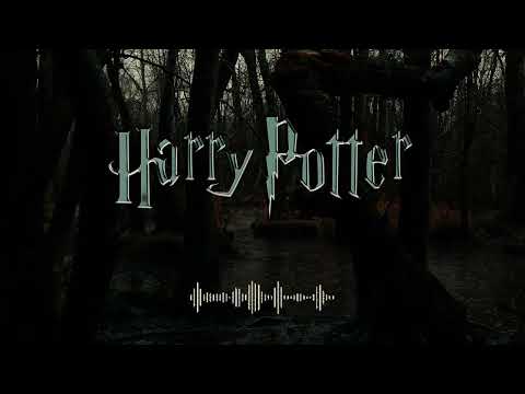 Harry Potter und der Orden des Phönix ｜ Komplettes Hörspiel auf Deutsch ｜ Hörbuch Kapitel 5
