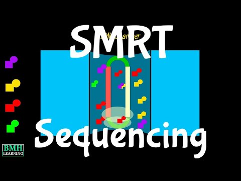 SMRT Sequencing | Single Molecule Real Time Sequencing | PacBio Sequencing |