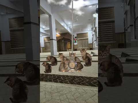 beautiful azan by qari obaidullah #funny #viral #azan