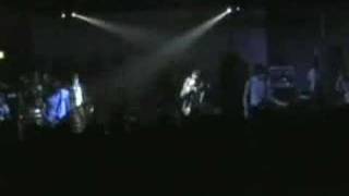 Babyshambles - My Darling Clementine