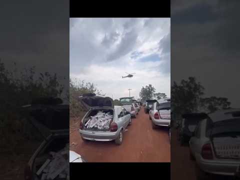 Grande operação do DOF apreende 17 veículos e prende 14 pessoas em Ponta Porã