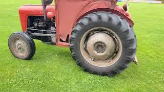 Mini-tracteur Massey Ferguson MASSEY-HARRIS 35 | Image 4 - Agroline