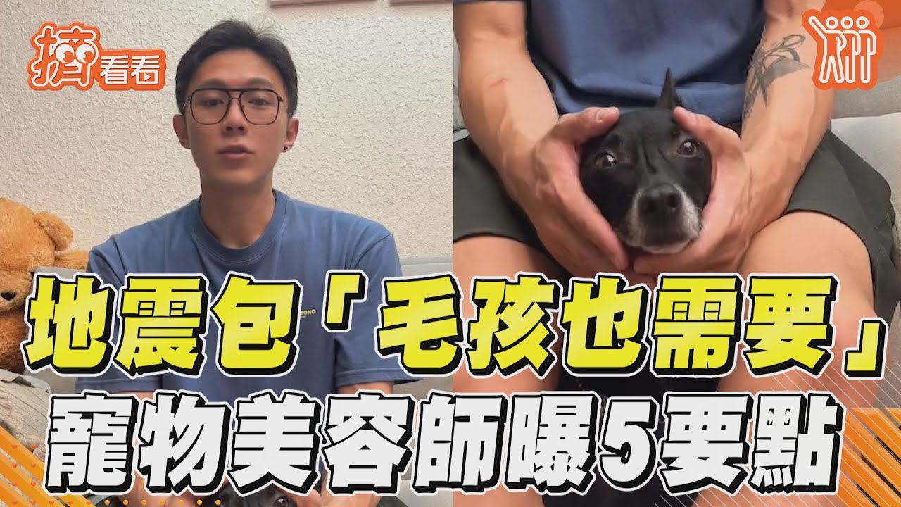 影音／毛孩也需要「避難地震包」！　寵物美容師曝備品5大要點