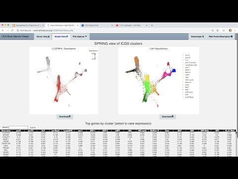 Bone Marrow Human Cell Atlas Viewer