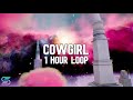 Nicki Minaj - Cowgirl (feat. Lourdiz) [1 Hour Loop]
