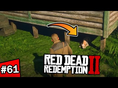 SZUKAM ZAGINIONEGO PIESKA | Red Dead Redemption 2 [#61] | BLADII