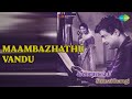 மாம்பழத்து வண்டு Sumaithangi P B Sreenivas S Janaki Songs De